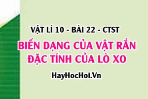 Biến dạng kéo là gì? Biến dạng nén là gì? Các đặc tính của lò xo - Vật lí 10 bài 22 CTST